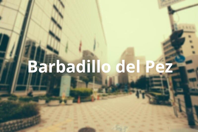 Tasacion de Vivienda en Barbadillo del Pez (Burgos)
