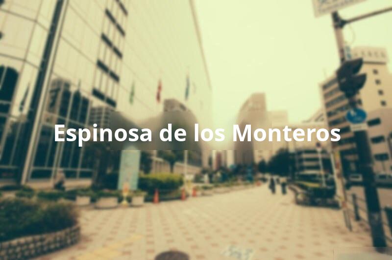 Tasacion de Vivienda en Espinosa de los Monteros (Burgos)
