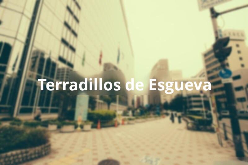 Tasar Vivienda en Terradillos de Esgueva (Burgos)