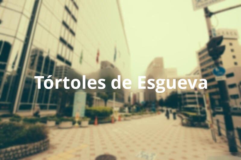 Tasacion de Vivienda en Tórtoles de Esgueva (Burgos)