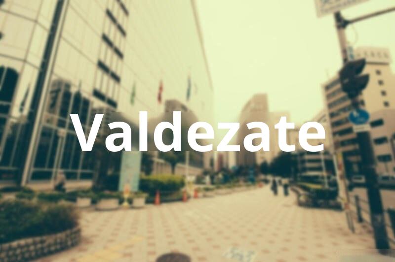 Tasar Vivienda en Valdezate (Burgos)