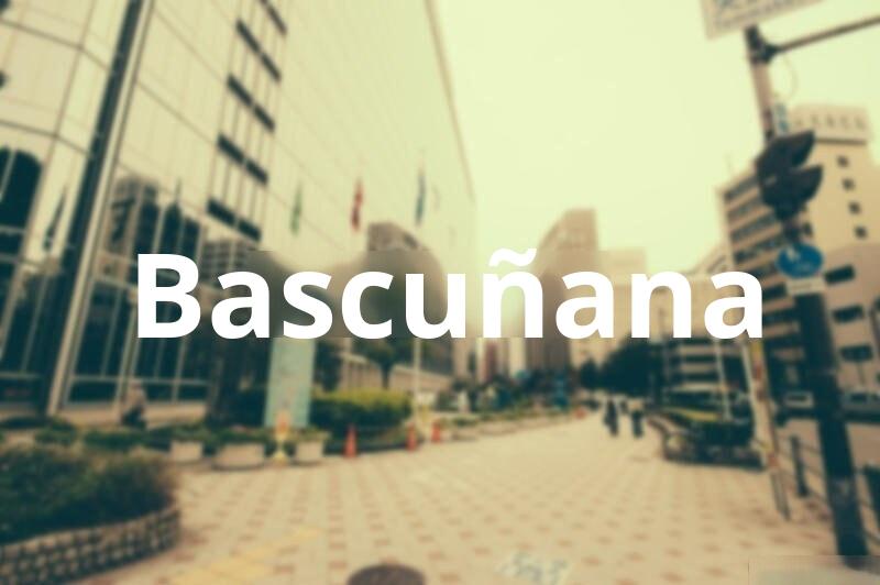 Tasacion de Vivienda en Bascuñana (Burgos)