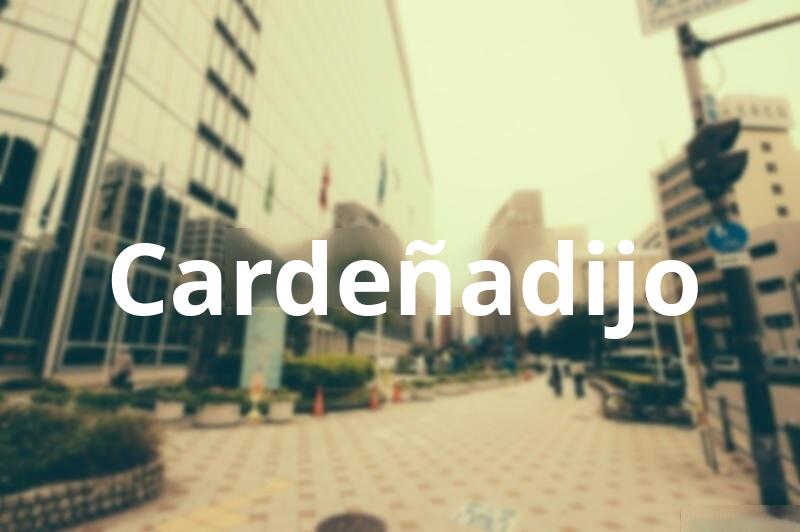 Tasacion de Vivienda en Cardeñadijo (Burgos)